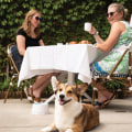 Dining Out with Your Dog: The Best Dog-Friendly Restaurants in Northern New Jersey