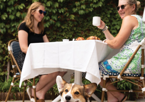 Dining Out with Your Dog: The Best Dog-Friendly Restaurants in Northern New Jersey